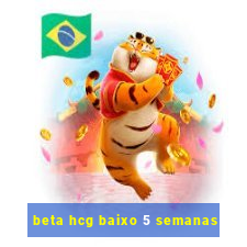 beta hcg baixo 5 semanas